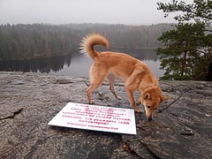 На&nbsp;вершине скалы Парнас