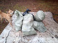 Мусор, собранный волонтёрами около тарзанки