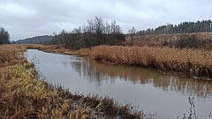 Река Ильменйоки